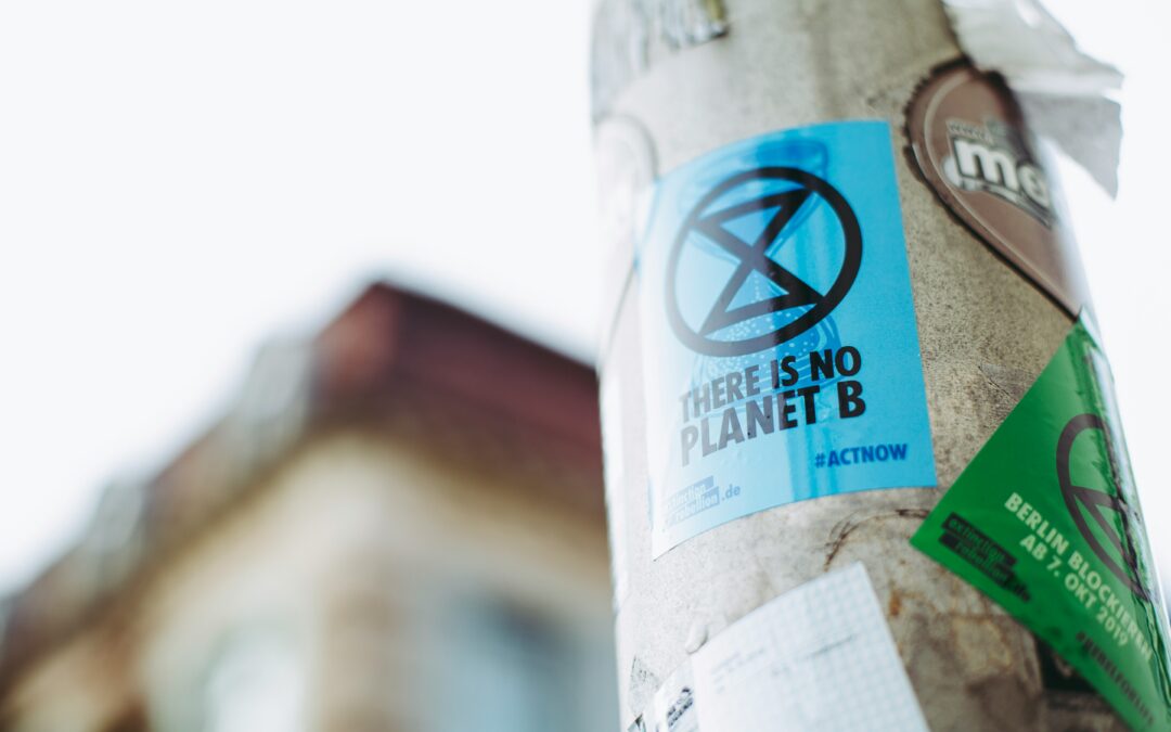 NorthStar honored as “Best for the World” by B Lab